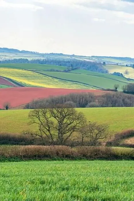 Framed Print : Fields and Farmlands over English Village, Berry Pomeroy, Devon, England, Europe Framed Print : Fields and Farmlands over English Village, Berry Pomeroy, Devon, England, Europe
