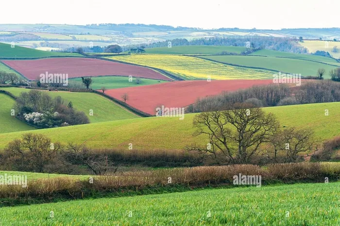 Framed Print : Fields and Farmlands over English Village, Berry Pomeroy, Devon, England, Europe Framed Print : Fields and Farmlands over English Village, Berry Pomeroy, Devon, England, Europe