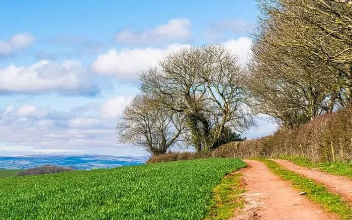 Framed Print : Fields and Farmlands in spring from a drone, Devon, England, Europe Framed Print : Fields and Farmlands in spring from a drone, Devon, England, Europe