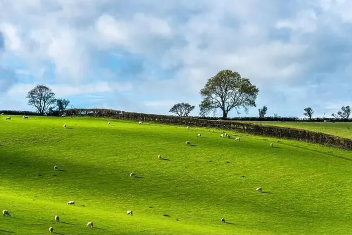 Framed Print : Fields and Farms over Devon, England, Europe Framed Print : Fields and Farms over Devon, England, Europe
