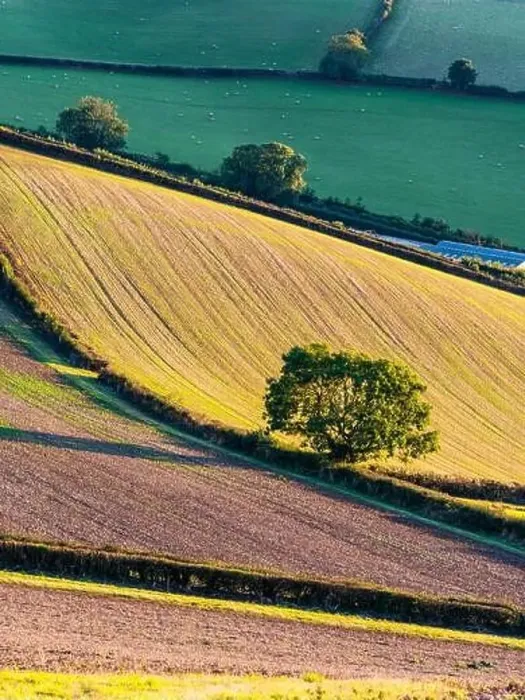 Framed Print : Fields and Farms over Devon, England, Europe Framed Print : Fields and Farms over Devon, England, Europe