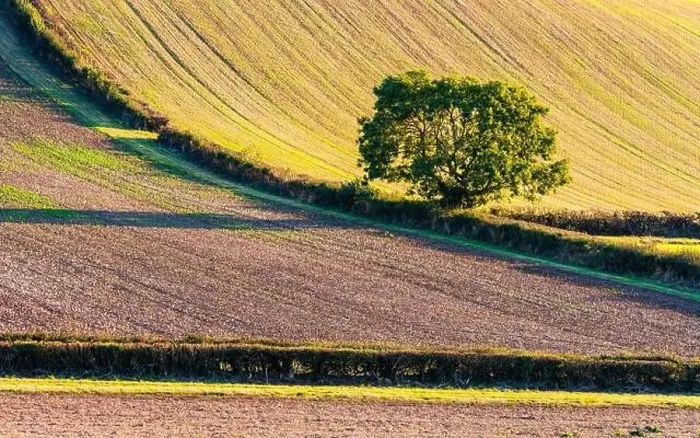 Framed Print : Fields and Farms over Devon, England, Europe Framed Print : Fields and Farms over Devon, England, Europe