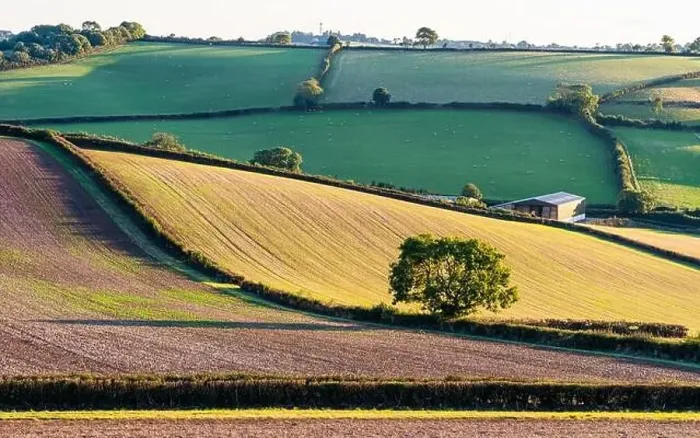 Framed Print : Fields and Farms over Devon, England, Europe Framed Print : Fields and Farms over Devon, England, Europe
