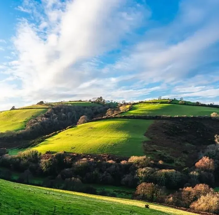 Framed Print : Fields and Farms over Man Sands from a drone, Brixham, Kingswear, Devon, England, Europe Framed Print : Fields and Farms over Man Sands from a drone, Brixham, Kingswear, Devon, England, Europe