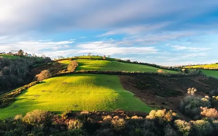 Framed Print : Fields and Farms over Man Sands from a drone, Brixham, Kingswear, Devon, England, Europe Framed Print : Fields and Farms over Man Sands from a drone, Brixham, Kingswear, Devon, England, Europe