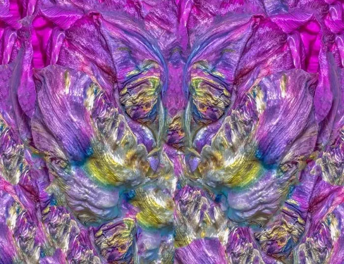 Framed Print : Fine art floral colorful background abstract pattern created from a parrot tulip blossom in bright pop-art colors Framed Print : Fine art floral colorful background abstract pattern created from a parrot tulip blossom in bright pop-art colors