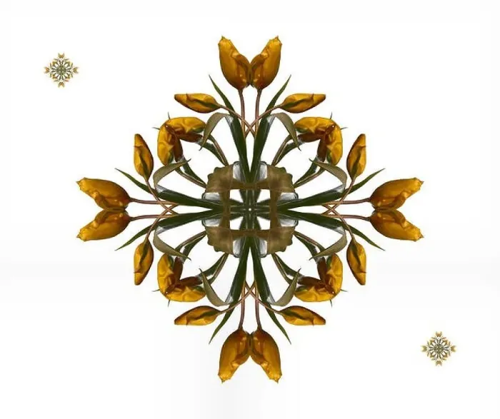Framed Print : Fine art floral decorative Framed Print : Fine art floral decorative