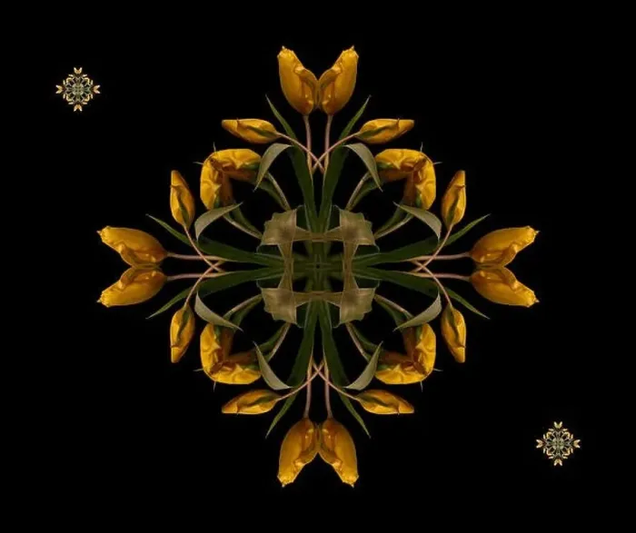 Framed Print : Fine art floral decorative Framed Print : Fine art floral decorative