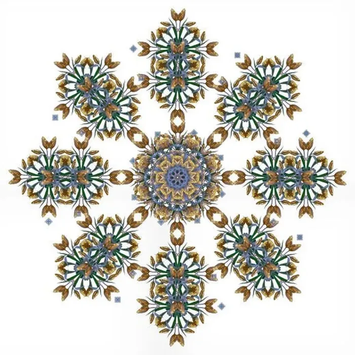 Framed Print : Fine art floral decorative Framed Print : Fine art floral decorative