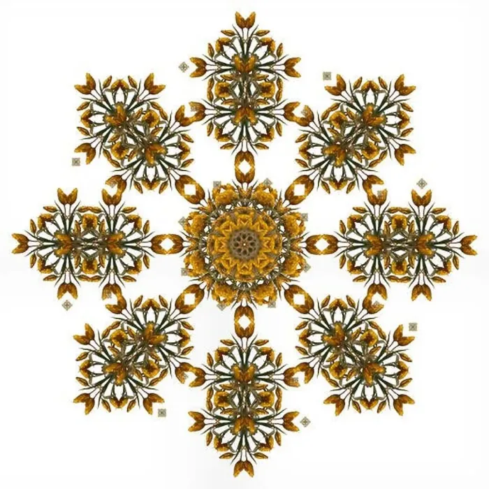 Framed Print : Fine art floral decorative Framed Print : Fine art floral decorative