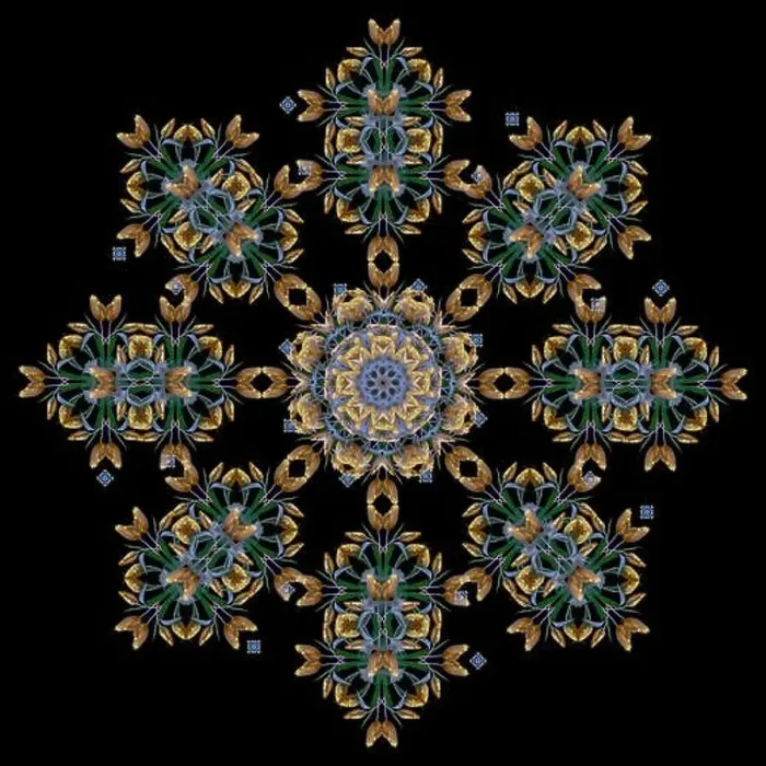Framed Print : Fine art floral decorative Framed Print : Fine art floral decorative