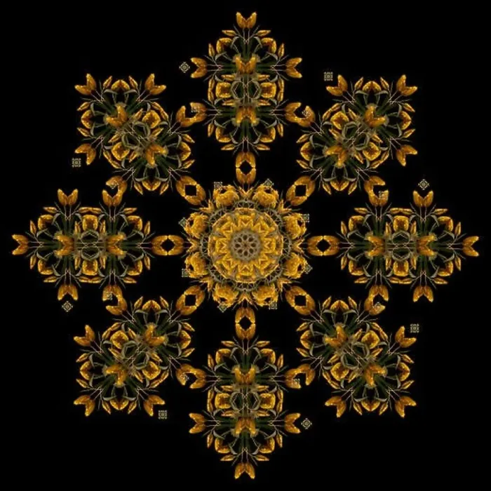 Framed Print : Fine art floral decorative Framed Print : Fine art floral decorative