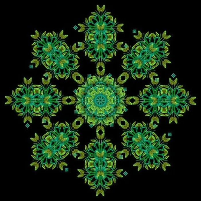 Framed Print : Fine art floral decorative Framed Print : Fine art floral decorative