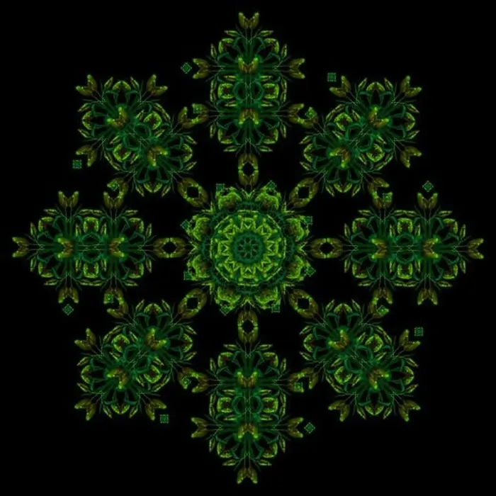 Framed Print : Fine art floral decorative Framed Print : Fine art floral decorative