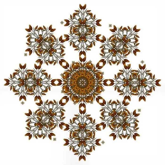Framed Print : Fine art floral decorative Framed Print : Fine art floral decorative