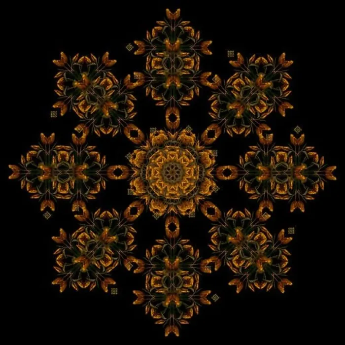 Framed Print : Fine art floral decorative Framed Print : Fine art floral decorative