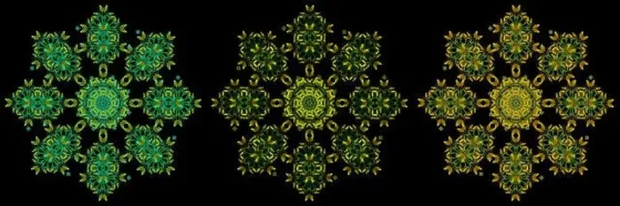 Framed Print : Fine art floral decorative Framed Print : Fine art floral decorative