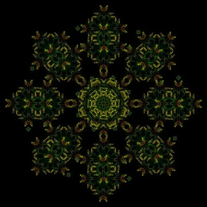 Framed Print : Fine art floral decorative Framed Print : Fine art floral decorative