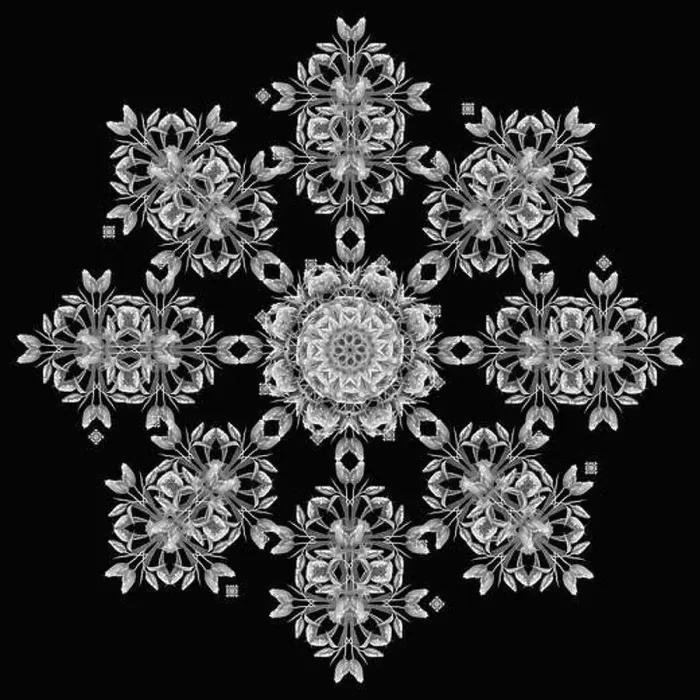 Framed Print : Fine art floral decorative