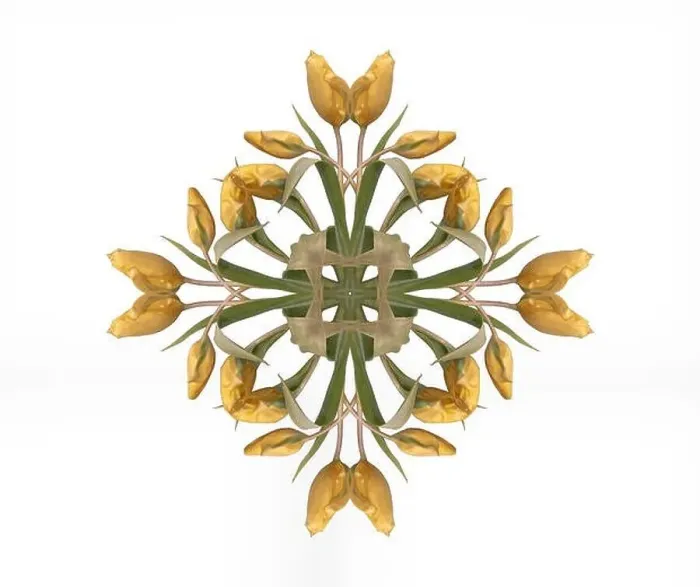 Framed Print : Fine art floral decorative Framed Print : Fine art floral decorative