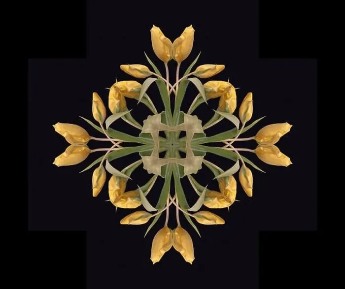Framed Print : Fine art floral decorative Framed Print : Fine art floral decorative