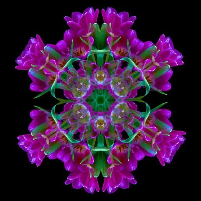 Framed Print : Fine art floral decorative Framed Print : Fine art floral decorative