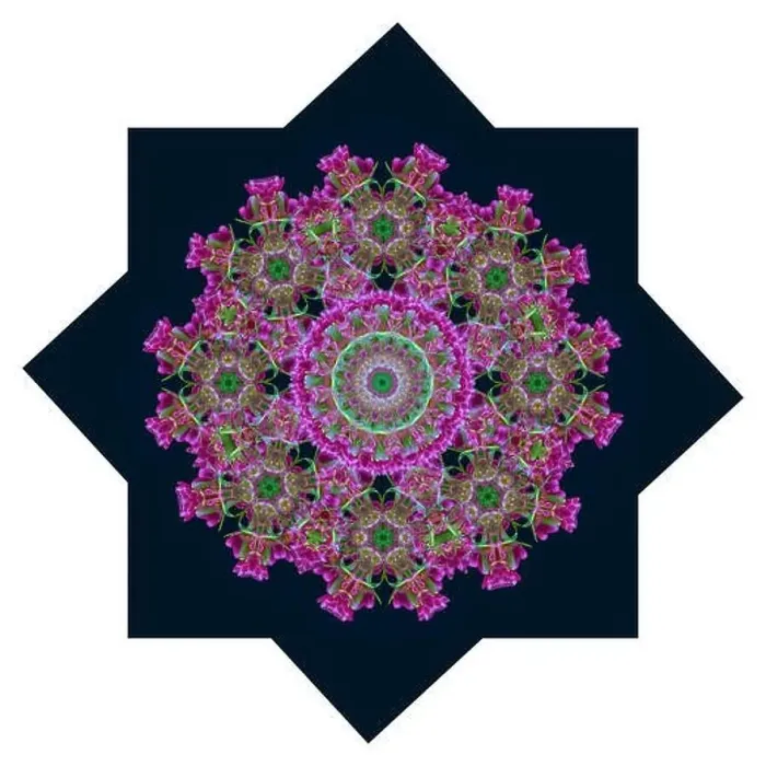 Framed Print : Fine art floral decorative and geometrical color pattern / mandala made from macros of red green tulips Framed Print : Fine art floral decorative and geometrical color pattern / mandala made from macros of red green tulips