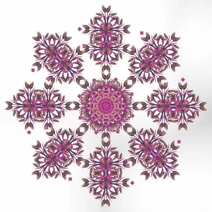 Framed Print : Fine art floral decorative and symmetrical fractal color pattern made from macros of light brown bright pink tulips Framed Print : Fine art floral decorative and symmetrical fractal color pattern made from macros of light brown bright pink tulips
