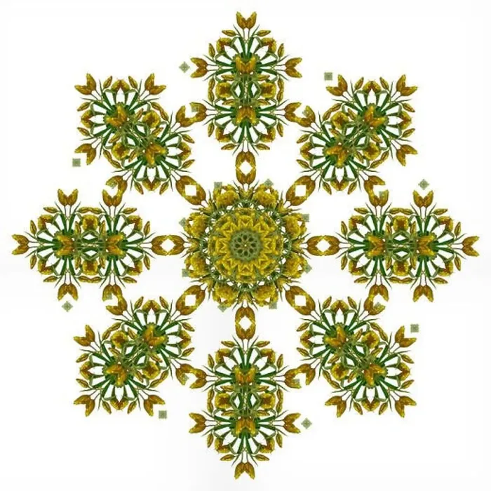 Framed Print : Fine art floral decorative and symmetrical fractal color pattern made from macros of yellow dark green red tulips Framed Print : Fine art floral decorative and symmetrical fractal color pattern made from macros of yellow dark green red tulips