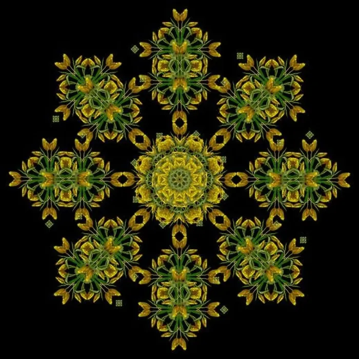 Framed Print : Fine art floral decorative and symmetrical fractal color pattern made from macros of yellow dark green red tulips Framed Print : Fine art floral decorative and symmetrical fractal color pattern made from macros of yellow dark green red tulips