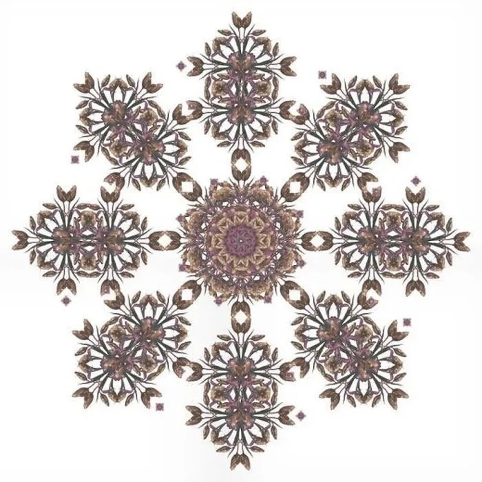Framed Print : Fine art floral decorative and symmetrical fractal pastel color pattern made from macros of light brown pink tulips Framed Print : Fine art floral decorative and symmetrical fractal pastel color pattern made from macros of light brown pink tulips