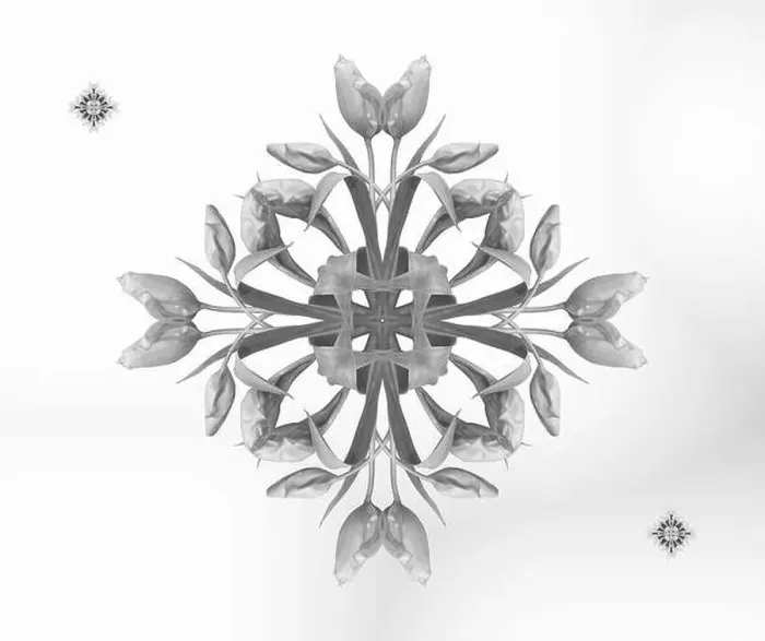 Framed Print : Fine art floral monochrome decorative Framed Print : Fine art floral monochrome decorative