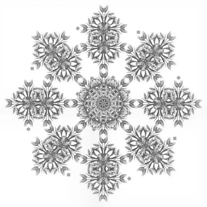 Framed Print : Fine art floral monochrome decorative Framed Print : Fine art floral monochrome decorative