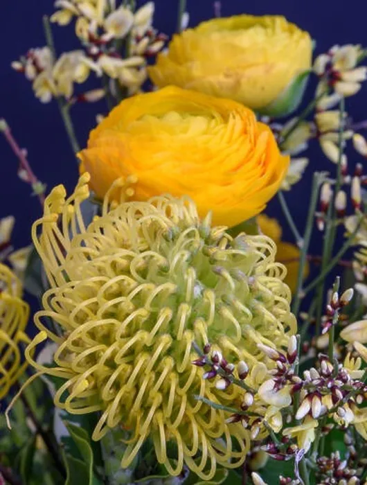 Framed Print : Fine art still life natural floral color close up of a flower bouquet with buttercups and proteas