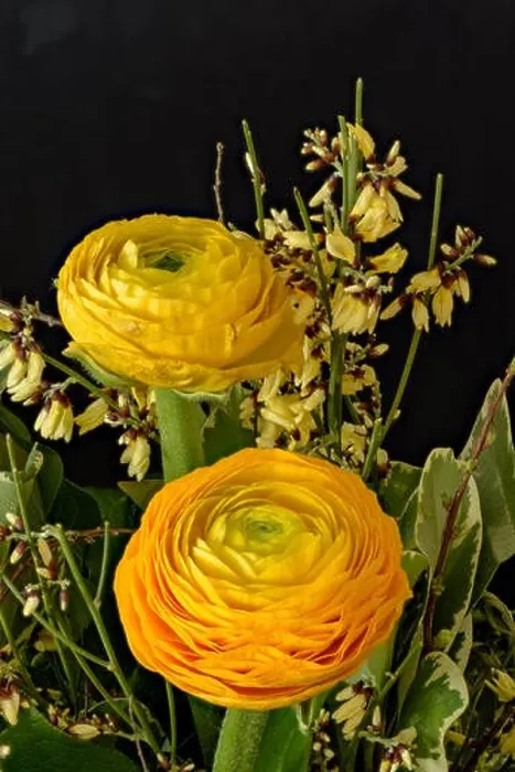 Framed Print : Fine art still life natural floral color close up of a flower bouquet with yellow Framed Print : Fine art still life natural floral color close up of a flower bouquet with yellow