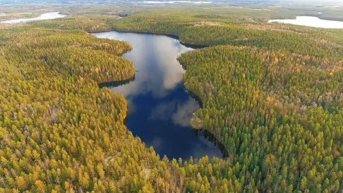 Framed Print : Finland landscape from the air with drone, lake and pine forest, panorama, autumn day. High quality photo Framed Print : Finland landscape from the air with drone, lake and pine forest, panorama, autumn day. High quality photo