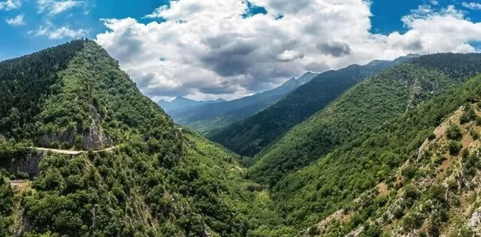 Framed Print : Fir forest at Agrafa mountain Greece. Mountain peaks, trees and cloudy blue sky, summer day in Karditsa, Thessaly Framed Print : Fir forest at Agrafa mountain Greece. Mountain peaks, trees and cloudy blue sky, summer day in Karditsa, Thessaly