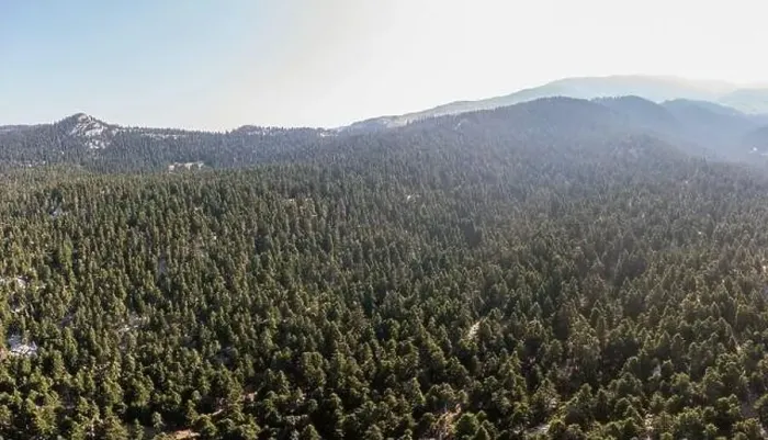 Framed Print : Fir forest landscape Parnassos Mountain aerial drone view, blue sky Framed Print : Fir forest landscape Parnassos Mountain aerial drone view, blue sky