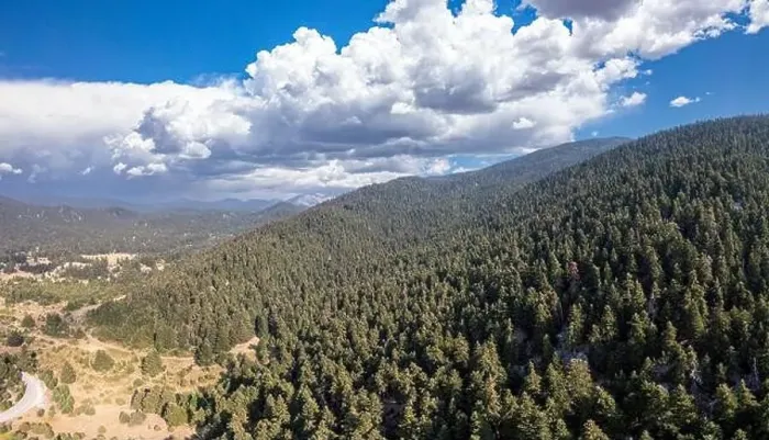 Framed Print : Fir forest landscape Parnassos Mountain panoramic aerial drone view, blue cloudy sky Framed Print : Fir forest landscape Parnassos Mountain panoramic aerial drone view, blue cloudy sky