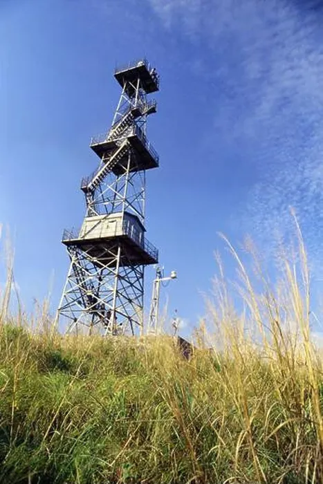 Framed Print : Fire watch tower in Silent Valley tropical rain forest, Kerala, India, Asia Framed Print : Fire watch tower in Silent Valley tropical rain forest, Kerala, India, Asia