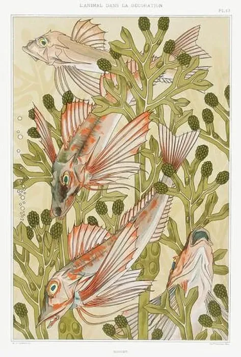 Framed Print : Fishes / Illustration from L'animal dans la decoration (1897) by Maurice Pillard Verneuil Framed Print : Fishes / Illustration from L'animal dans la decoration (1897) by Maurice Pillard Verneuil