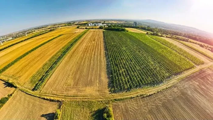 Framed Print : Fisheye Drone view down on agriculture crop land with wheat fields and Vineyards in Vienna