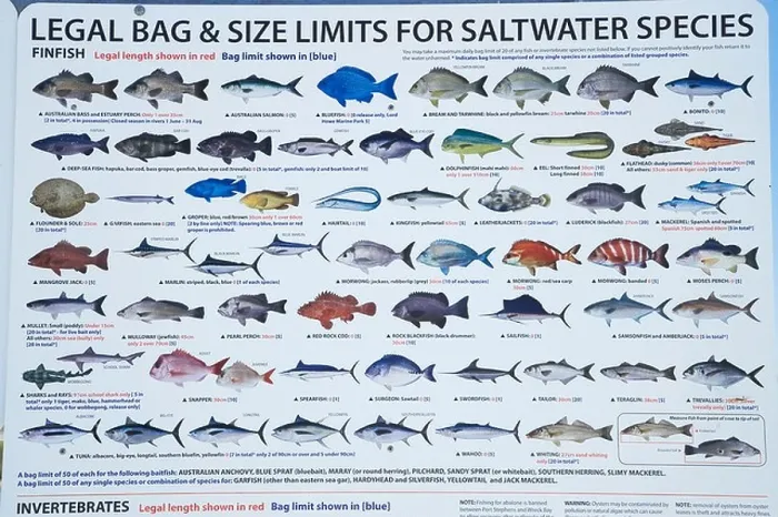 Framed Print : Fishing Guide Clyde River Batemans Bay Southern New South Wales Australia Framed Print : Fishing Guide Clyde River Batemans Bay Southern New South Wales Australia
