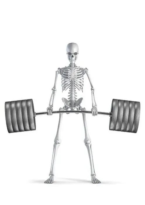 Framed Print : Fitness skeleton deadlift - 3D illustration of male human skeleton figure lifting heavy barbell isolated on white Framed Print : Fitness skeleton deadlift - 3D illustration of male human skeleton figure lifting heavy barbell isolated on white