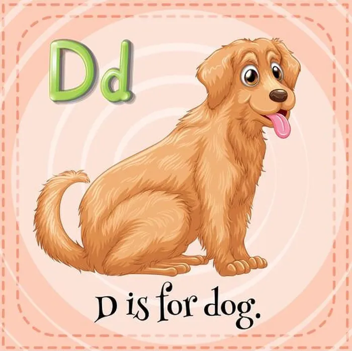 Framed Print : Flashcard letter D is for dog illustration Framed Print : Flashcard letter D is for dog illustration
