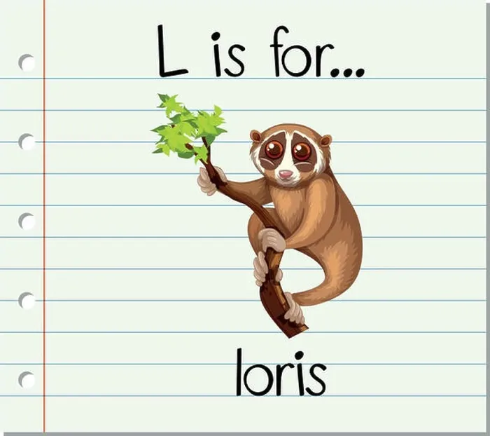 Framed Print : Flashcard letter L is for loris Framed Print : Flashcard letter L is for loris