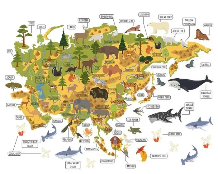 Framed Print : Flat Asian flora and fauna map constructor elements
