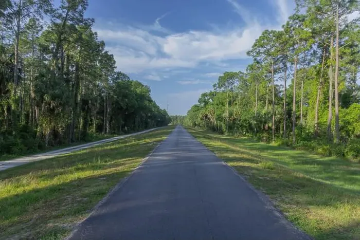 Framed Print : Flatwoods Conservation Park City of Tampa Hillsboro County Florida Recreation
