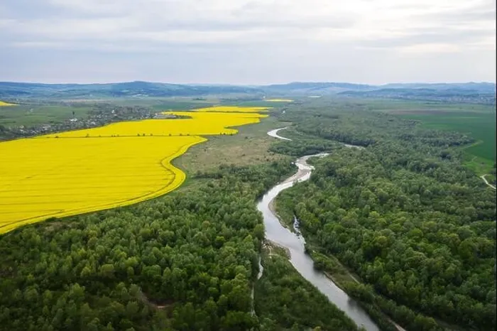 Framed Print : Flight through majestic river, lush green forest and blooming yellow rapeseed fields at sunset time. Landscape photography Framed Print : Flight through majestic river, lush green forest and blooming yellow rapeseed fields at sunset time. Landscape photography