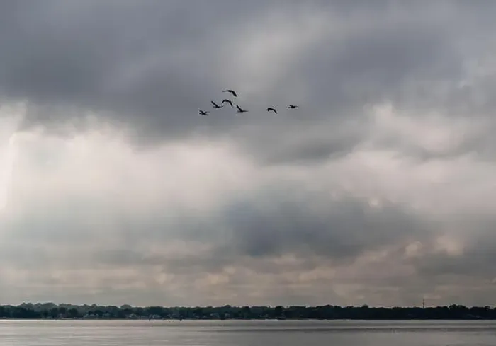 Framed Print : Flock of Canada geese flying in V shape formation across a cloudy sky Framed Print : Flock of Canada geese flying in V shape formation across a cloudy sky